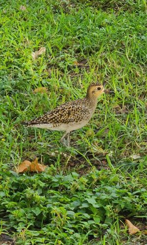 Send your best photos from Maui County to mauiphotos@mauinews.com for a chance to see them featured on our website and in our weekly print edition.
